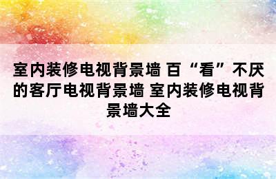 室内装修电视背景墙 百“看”不厌的客厅电视背景墙 室内装修电视背景墙大全